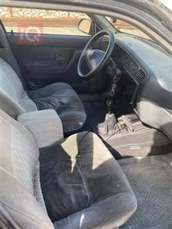 رينو رينو 19